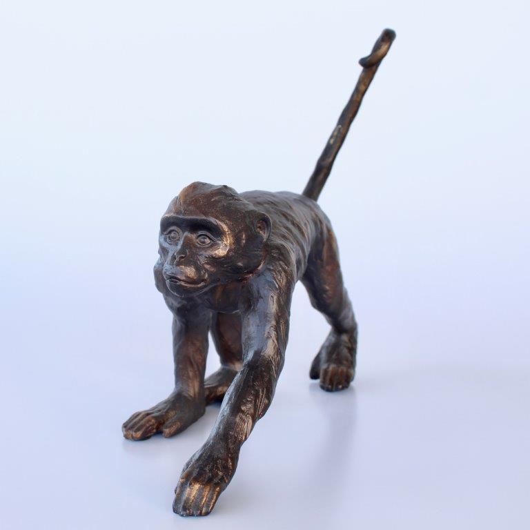 Monkey With Long Tail